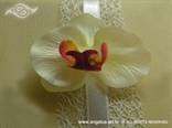 knjiga za vjenčanje s krem orhidejom