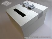 Silver Shine Box - Money Box